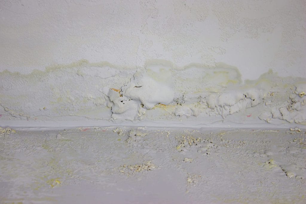 עובש על הקיר כתוצאה מרטיבות